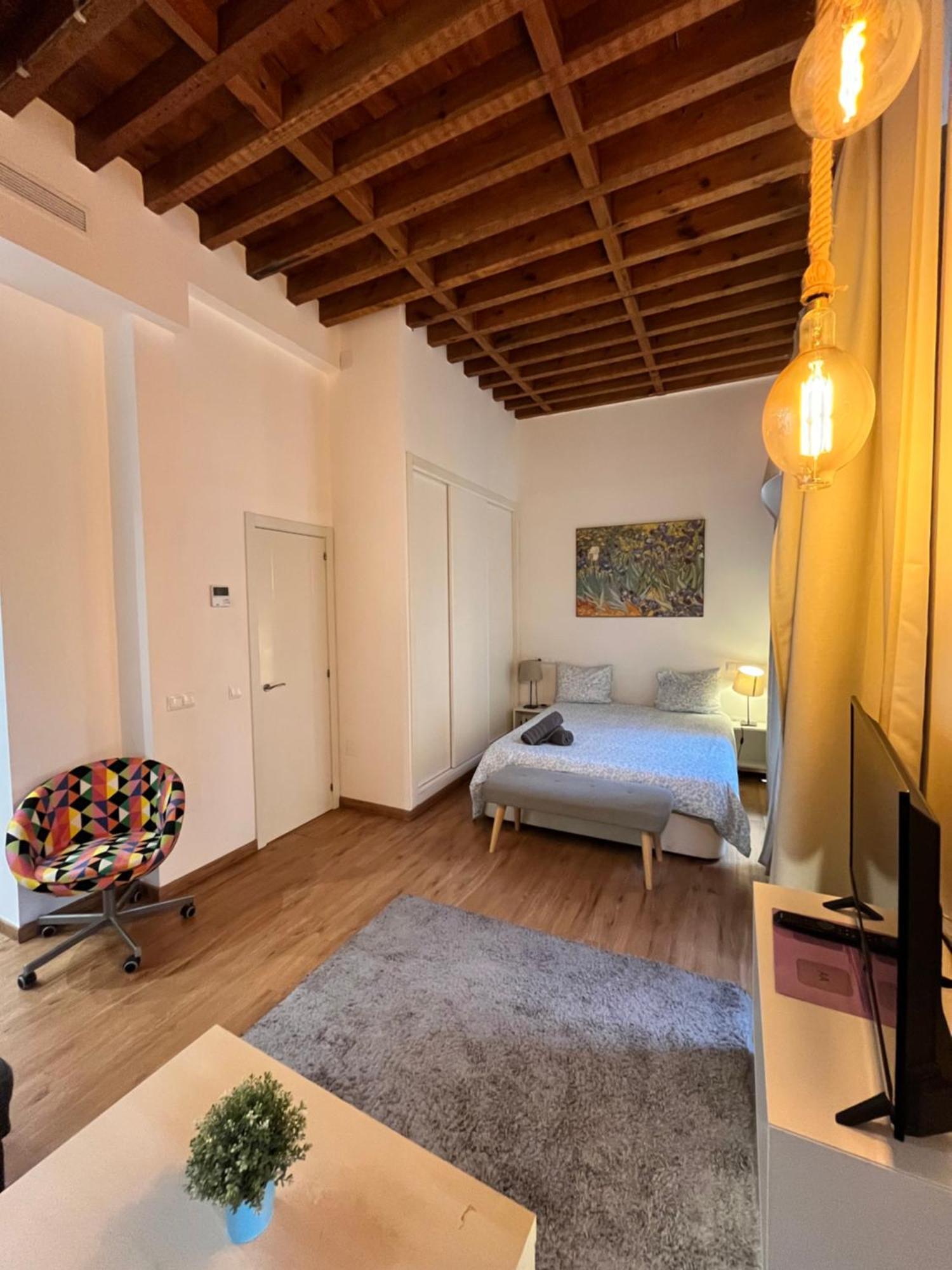 Boutique Larios - Center Apartment *